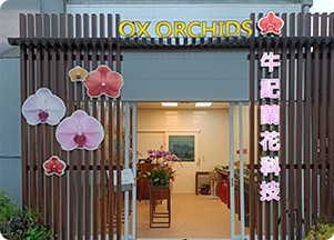 shop2